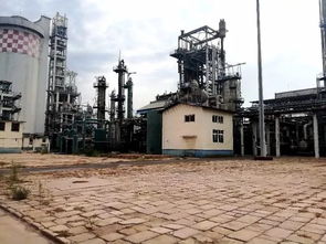 滄州市區(qū)這一大片土地將征收 有四條路和一小學(xué)建設(shè)項目獲批