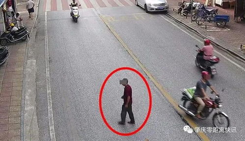 肇慶行人亂穿馬路遭曝光，道路設施問題引發關注