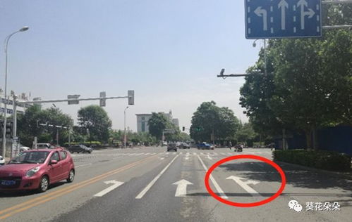 遵化城區(qū)道路通行方式優(yōu)化調(diào)整 多處交通設(shè)施升級助力市民便捷出行